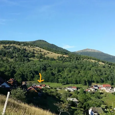 Maison Lupins 6 Personnes Geishouse