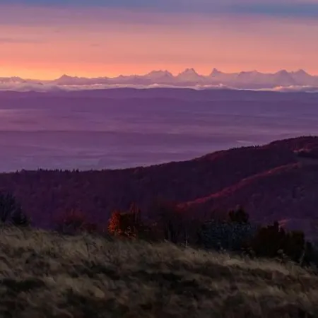 Ferienhaus Maison Lupins 6 Personnes *