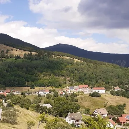 Maison Lupins 6 Personnes Geishouse