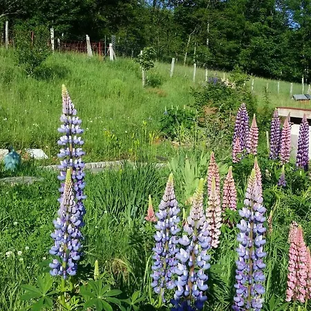 Feriehus Maison Lupins 6 Personnes